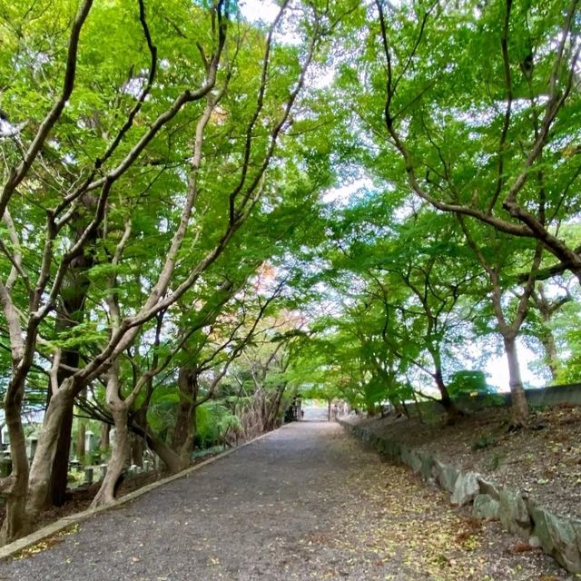 紅葉の名所としても有名！丈六寺は重要文化財だらけの「阿波の法隆寺