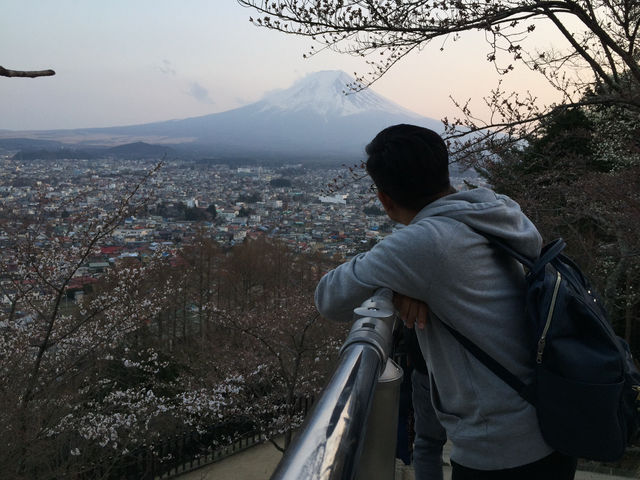 Chureito Pagoda จุดชมซากุระสุดปัง พร้อมวิวฟูจิ