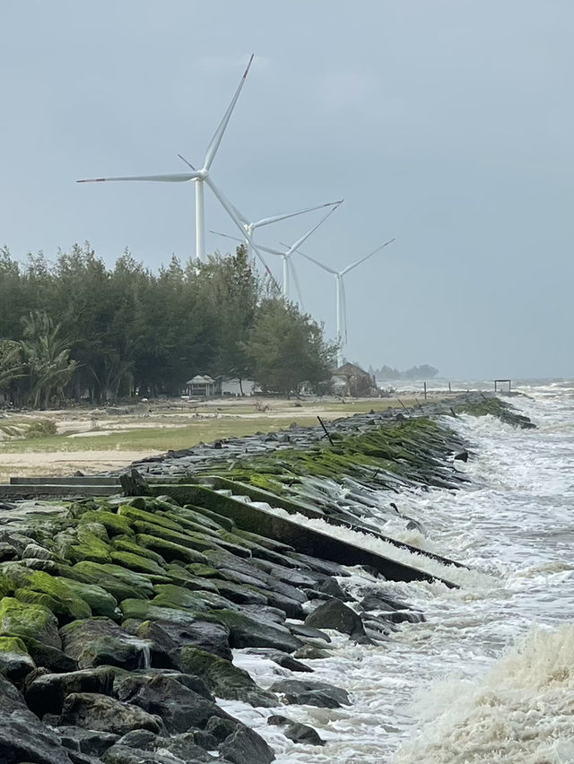 ชายทะเลปากพนัง 🌊