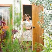 ในเมืองกรุงมุ่งสู่นครนายก
