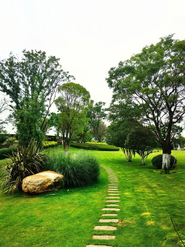 📍昆明市東海岸濕地公園