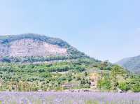 A Peaceful Escape to Mureung Byeol Yucheonji in Donghae