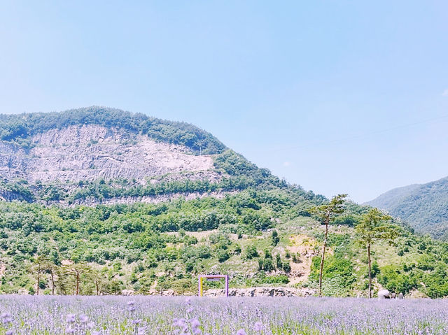 A Peaceful Escape to Mureung Byeol Yucheonji in Donghae