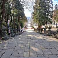 Toshogu Shrine (仙台東照宮)