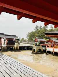 ⛩️ ✅厳島神社（Itsukushima Shrine）攻略ガイド 🦌