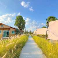 Thammachard Campground ลานกางเต็นท์ ธรรมชาติ