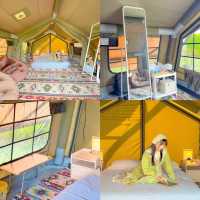 Thammachard Campground ลานกางเต็นท์ ธรรมชาติ