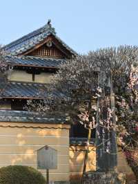 太宰府天滿宮：信仰、藝術與生態的共生之所
