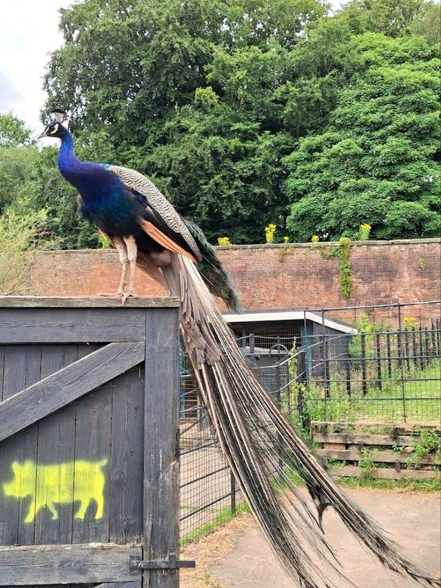 Heaton Park