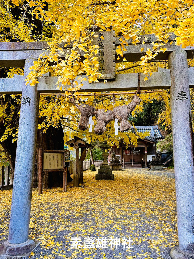 奈良・女子ひとり旅