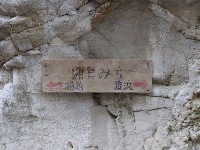 神奈川県の三浦トレイル