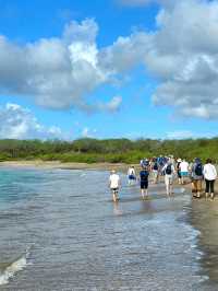 🌿 Discover Española Island – A Wildlife Wonderland! 🦜🐢