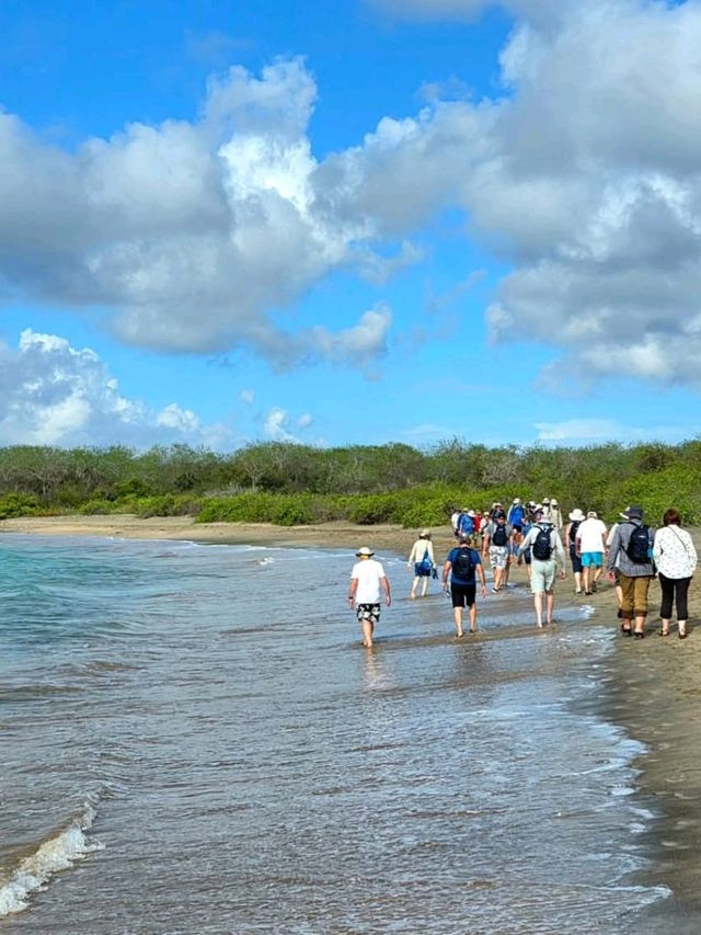 🌿 Discover Española Island – A Wildlife Wonderland! 🦜🐢