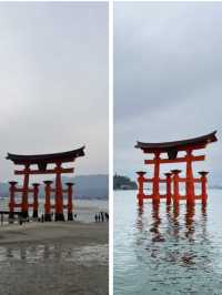 嚴島神社幾時去？潮退還是潮漲？why not both?