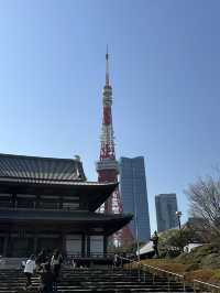 🌸【東京鐵塔櫻花｜2025粉雪紛飛下的地標絕景】  