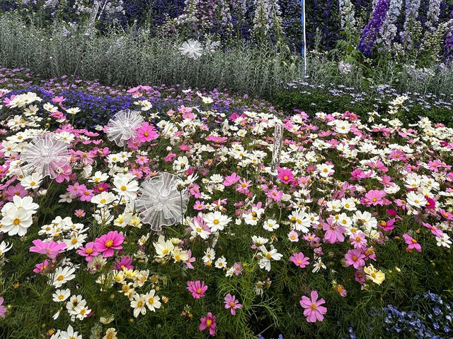  Flower Show~ Enjoy the nature of beauty