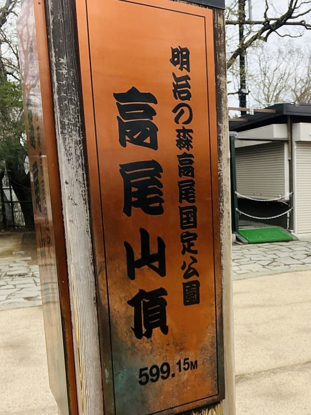 Spring Trekking at Mt. Takao: A Flower-Filled Adventure🌸