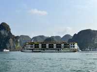 北越雙龍灣、沙壩、河內自由行