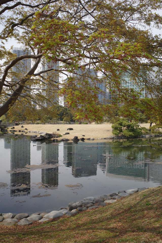【東京】菜の花畑｜浜離宮恩賜庭園
