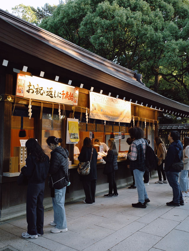 Meiji Shrine ศาลเจ้าแห่งความสงบใจกลางโตเกียว