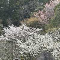 九州國立博物館（Kyushu National Museum）