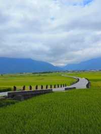 伯朗大道 台東