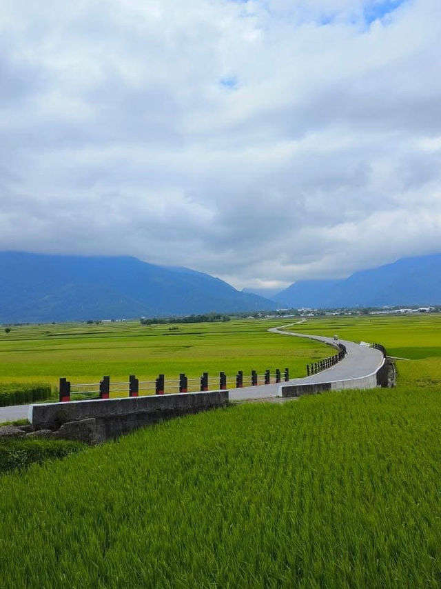 伯朗大道 台東
