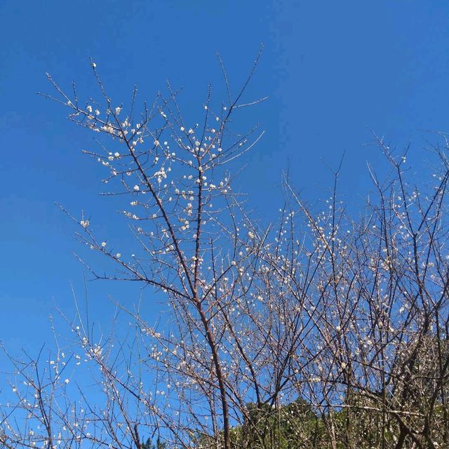 南港中華公園