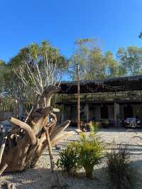 Karn Thara Cafe Camp คาเฟ่ริมทางที่ Vibes ดีสุดๆ