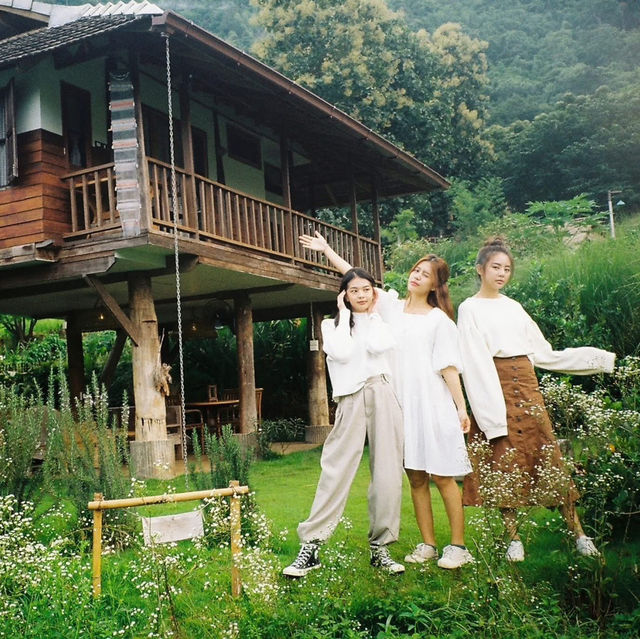 Mori Natural Farm โมริ เนเชอรัลฟาร์ม เชียงใหม่ 🏮🛖