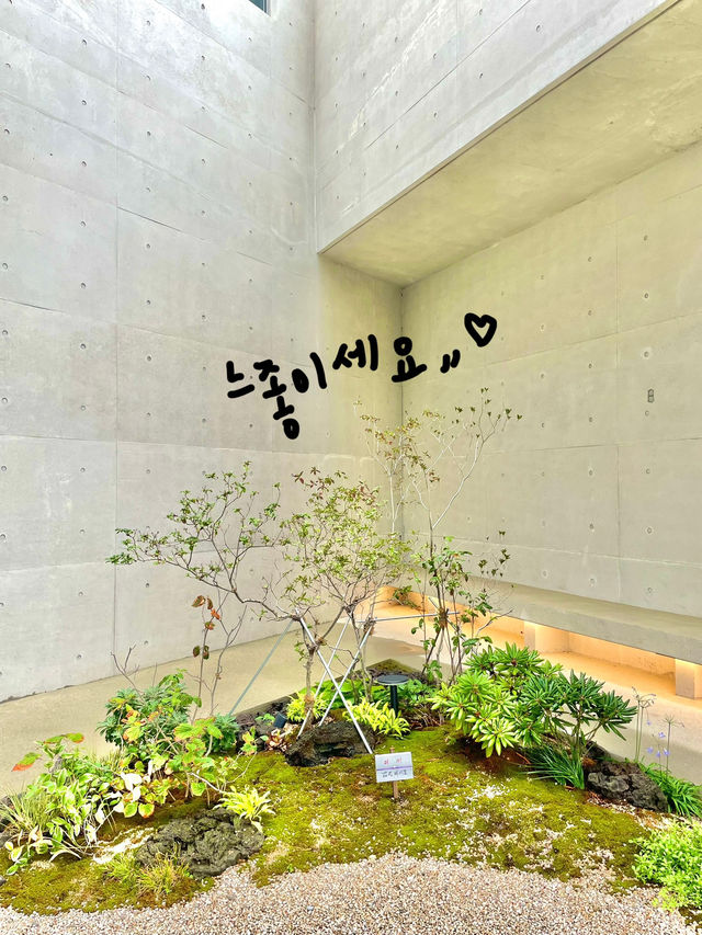 울산 서생에 위치한 느좋 오션뷰 카페 🌊