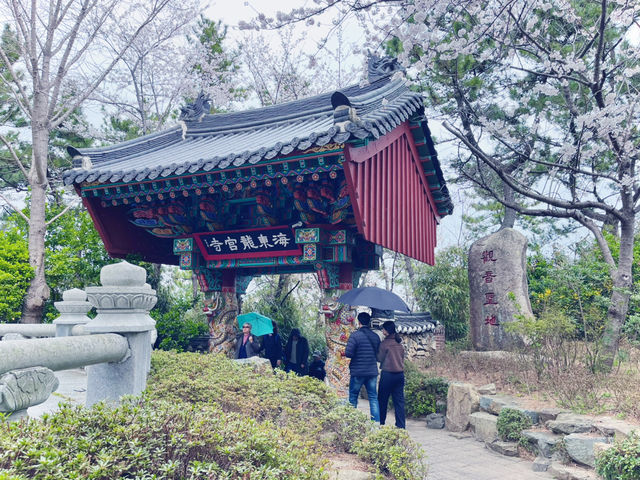 【ひとり旅でも満喫】2泊3日で楽しむ春の釜山🌸✈️