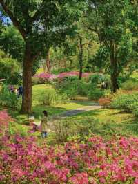 Guangzhou is filled with the essence of spring