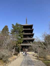 【京都】五重塔と美しい庭園をもつ世界遺産・仁和寺