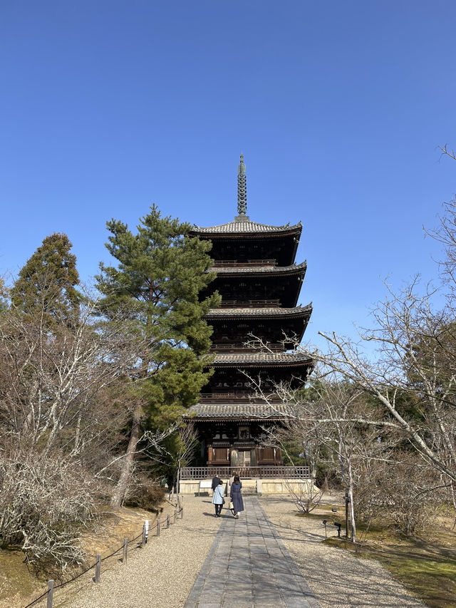 【京都】五重塔と美しい庭園をもつ世界遺産・仁和寺