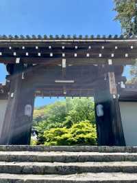 Spring Visit to Jissoin Monzeki: A Peaceful Escape with Blue Maple Leaves