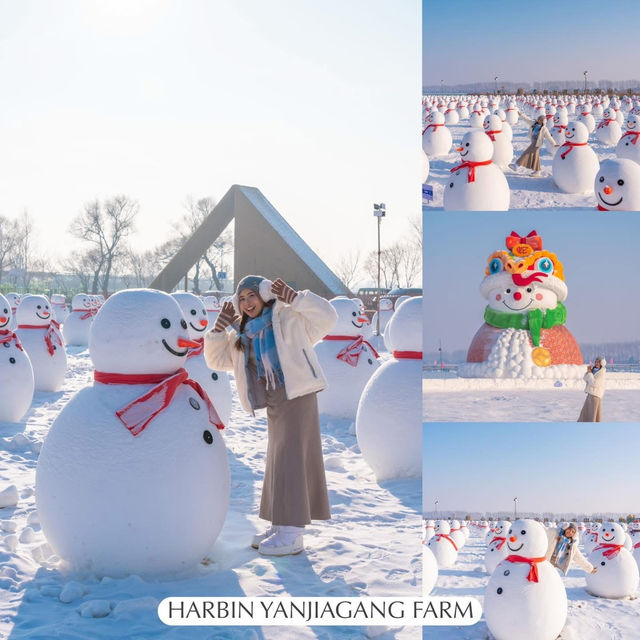 Harbin Mini Guide ⛄️🫧 Harbin Mini Guide ⛄️🫧