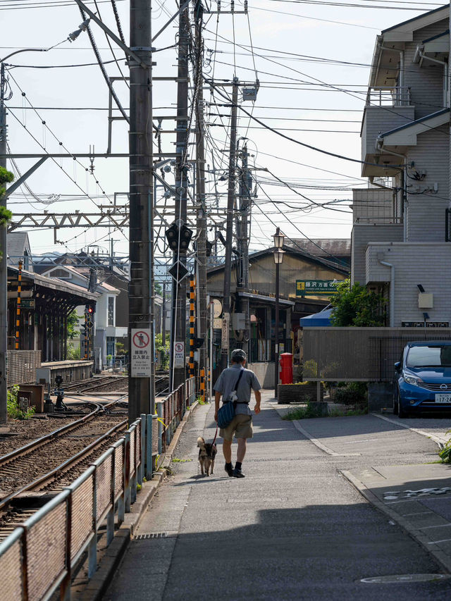 ノスタルジーあふれる鎌倉・長谷駅スナップ📸