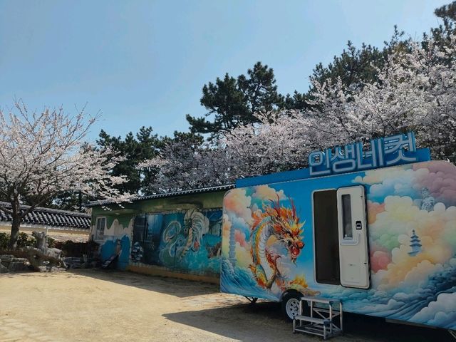 釜山櫻花季滿滿幸褔的海邊廟宇~海東龍宮寺