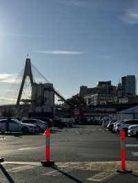 🐟 SydneyFish market