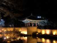 🌕 경주 동궁과 월지, 신라의 밤을 거닐다