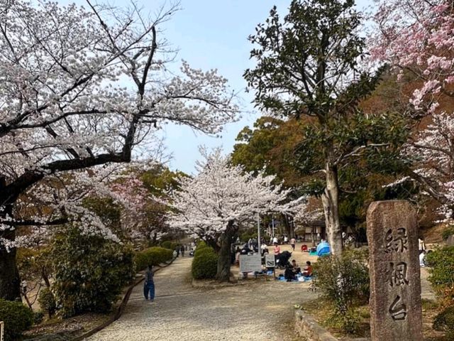 大阪近郊賞櫻，親子最愛的五月山公園