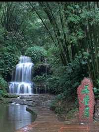 Step Into a Real-Life Emerald Wonderland Breathe Deep in the Bamboo Sea of Southern Sichuan 