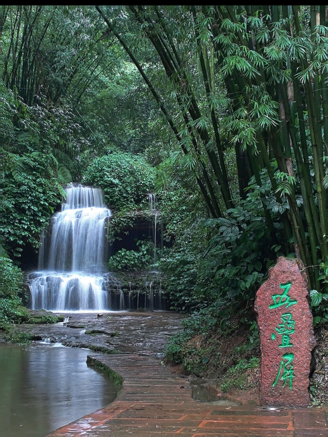 Step Into a Real-Life Emerald Wonderland Breathe Deep in the Bamboo Sea of Southern Sichuan 