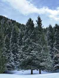 Magical Winter in Nalati: A Fairytale of Snow and Serenity