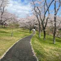 Shizumine Furusato Park, Ibaraki