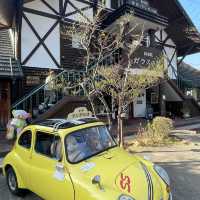 Beppu – Hot Spring Paradise 