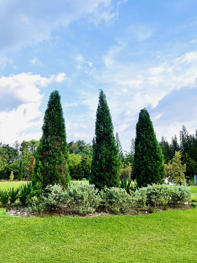 “KL’s Best-Kept Secret: The Lush Charm of Taman Saujana Hijau”