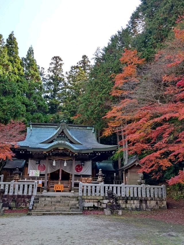 有馬溫泉 x 六甲山一日遊行程