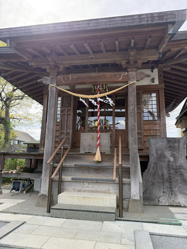 Spring Walk at Himonya Itsukushima-jinja Shrine